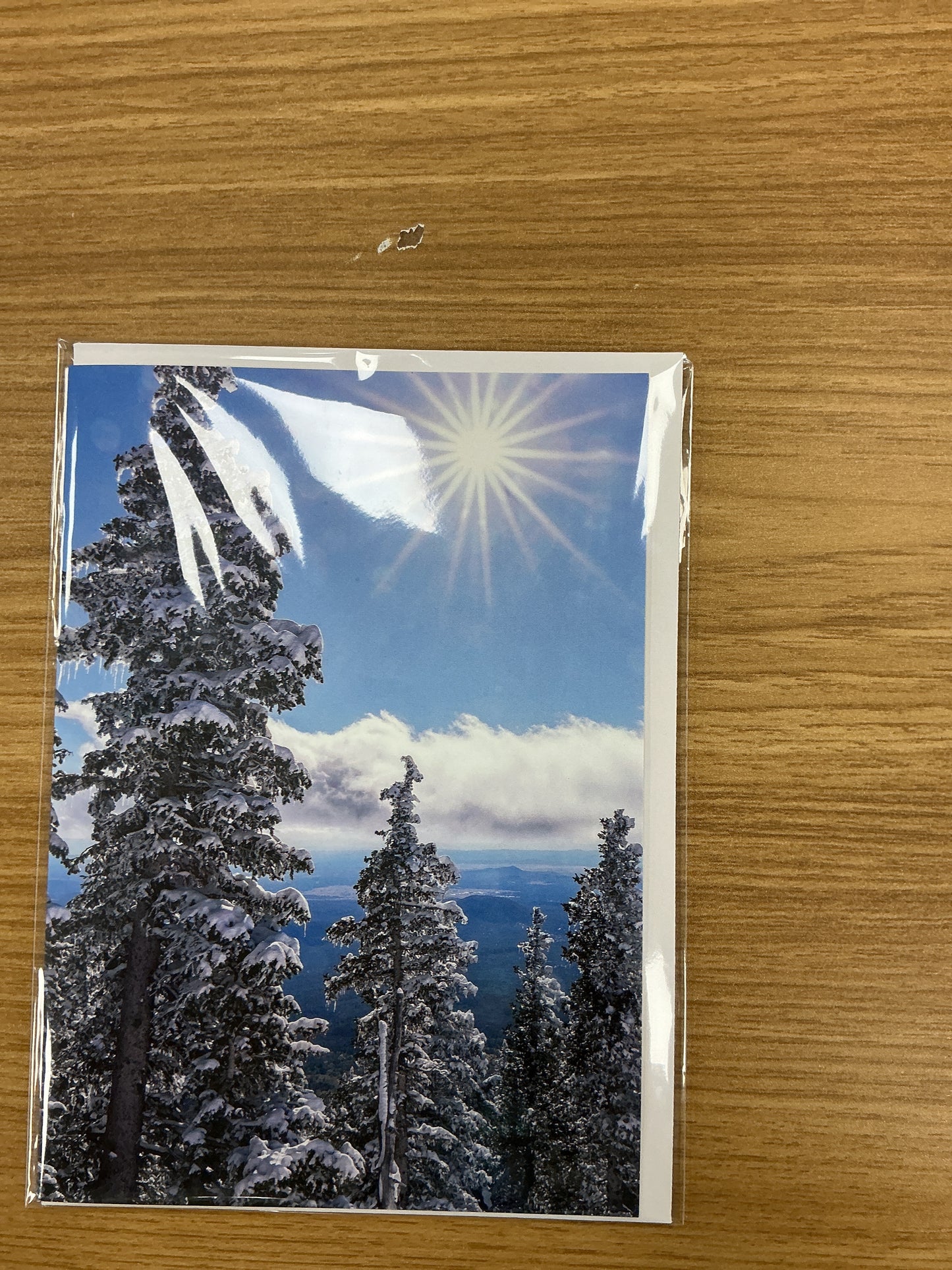 Holiday Greeting Card