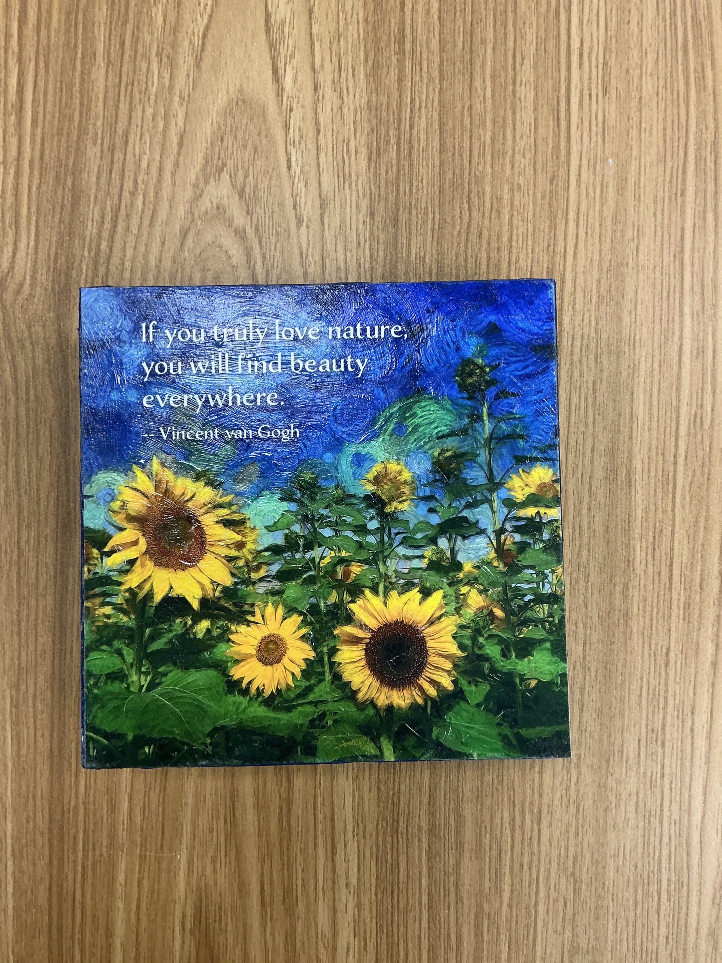 QuoteBlock: Find Beauty Everywhere