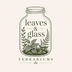 Leaves & Glass Terrariums