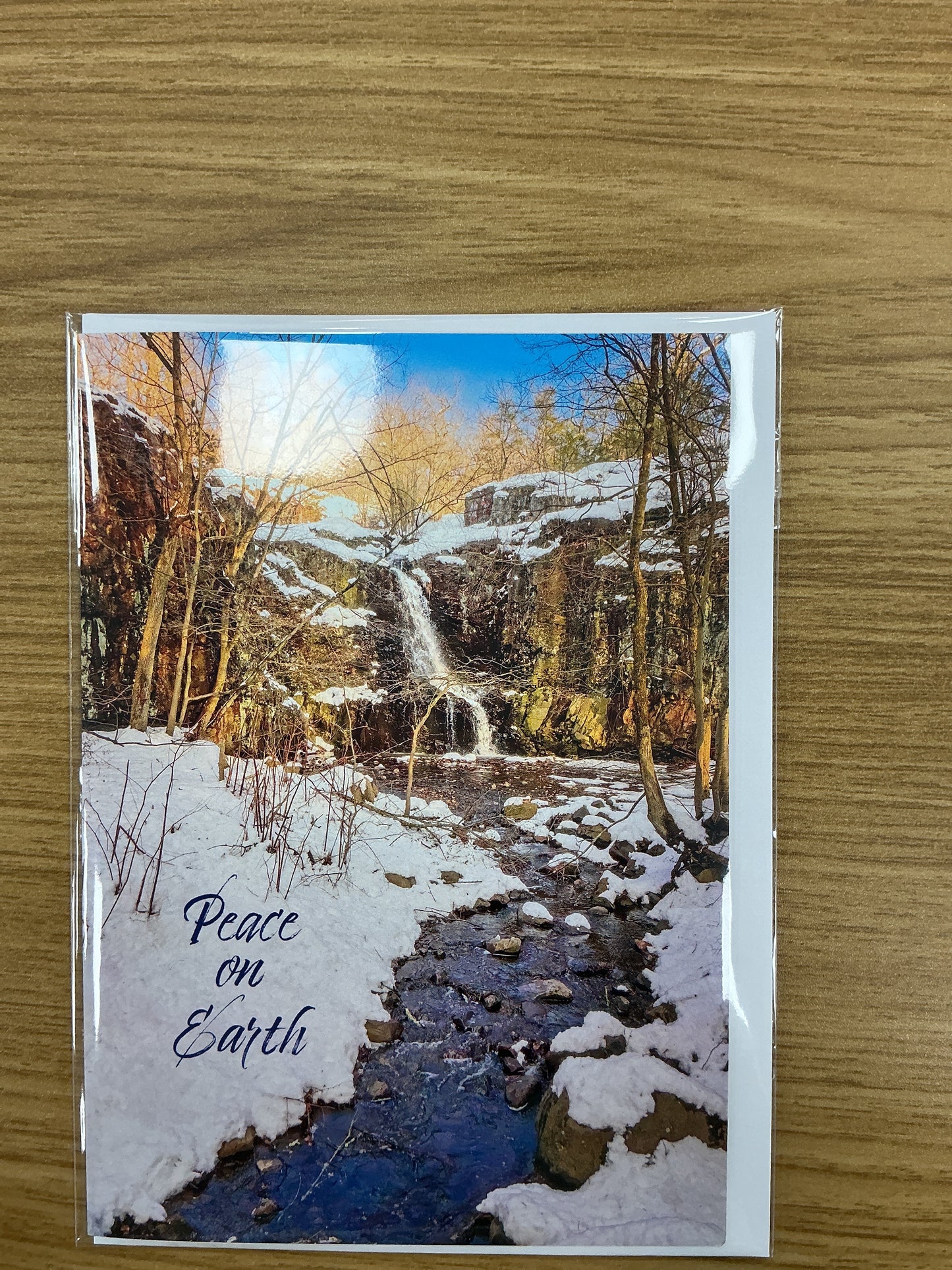 Holiday Greeting Card