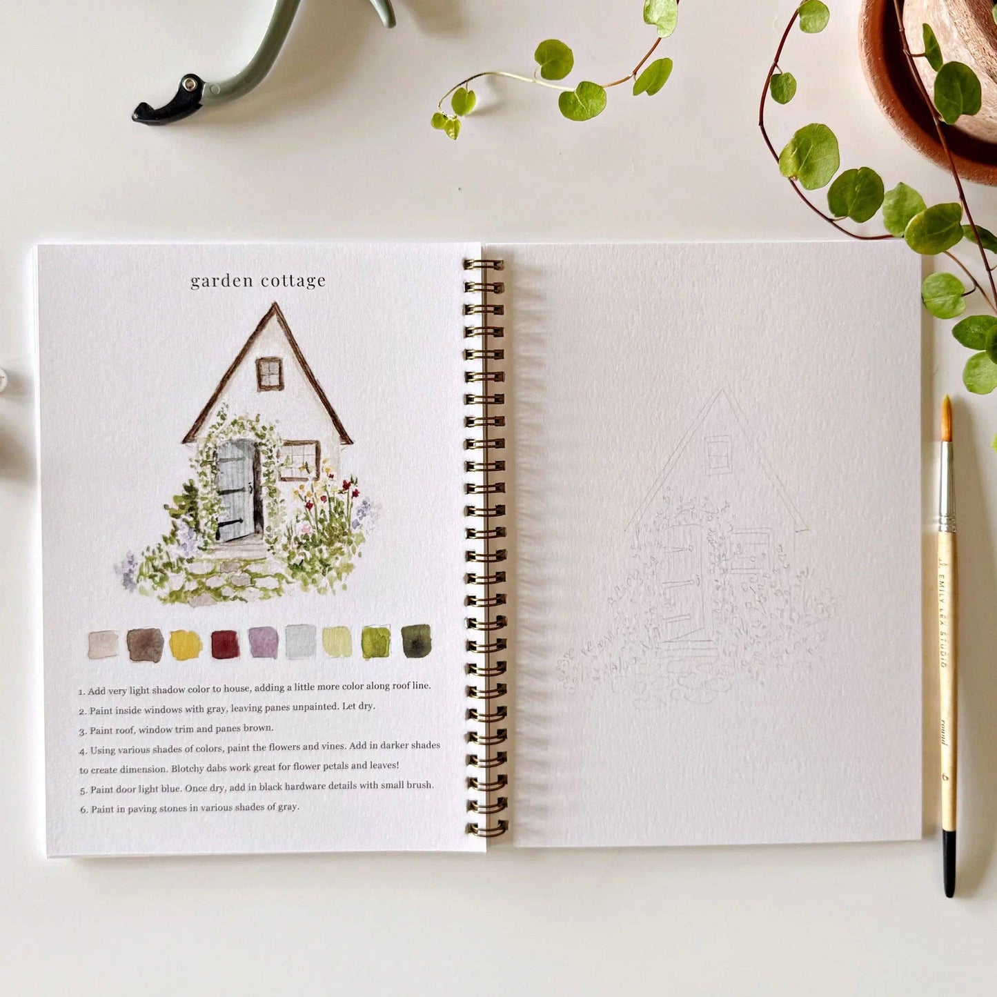 Watercolor Workbook