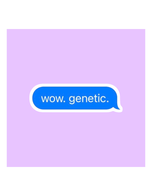 WhichCraft Studio Stickers