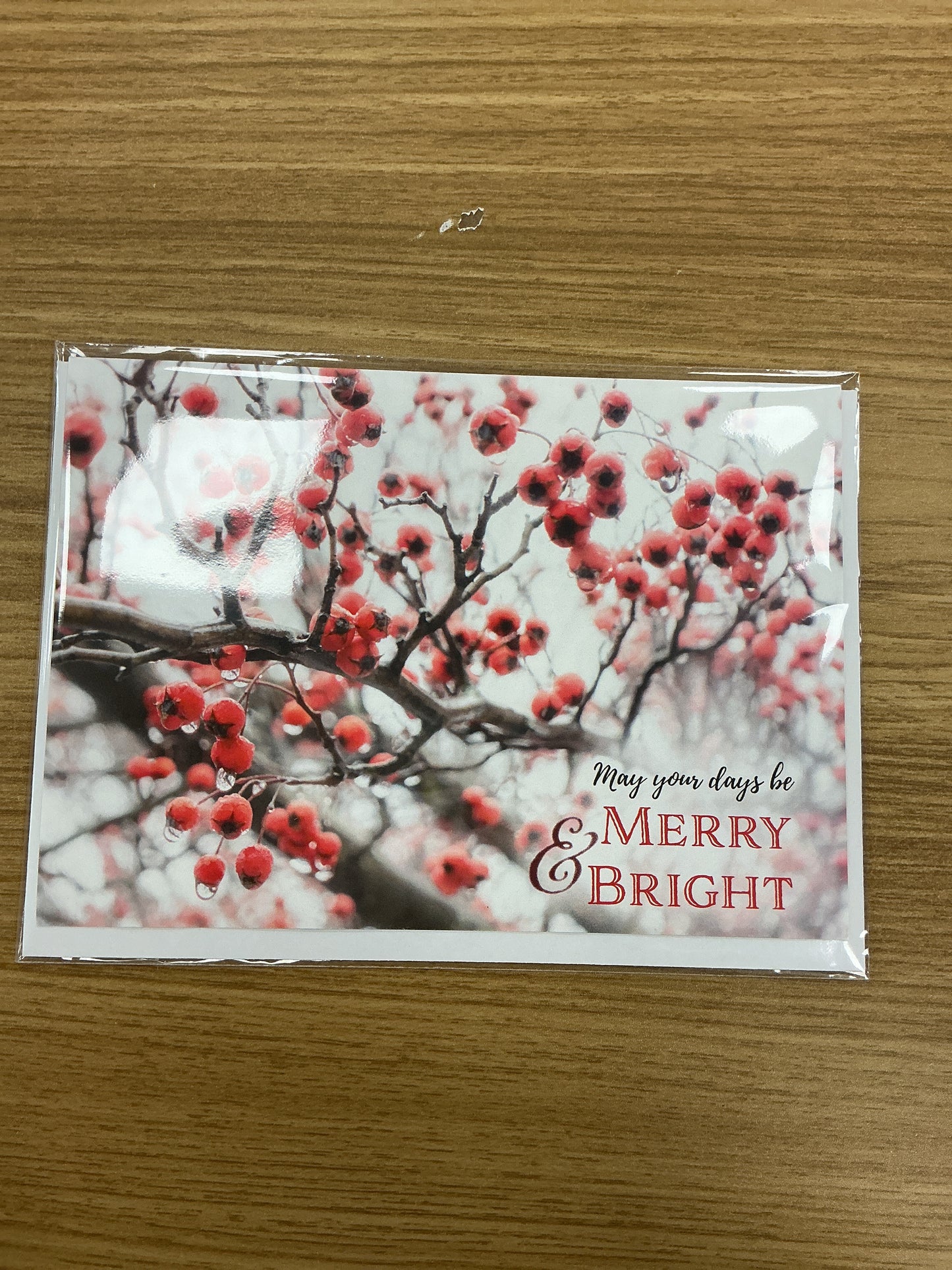 Holiday Greeting Card