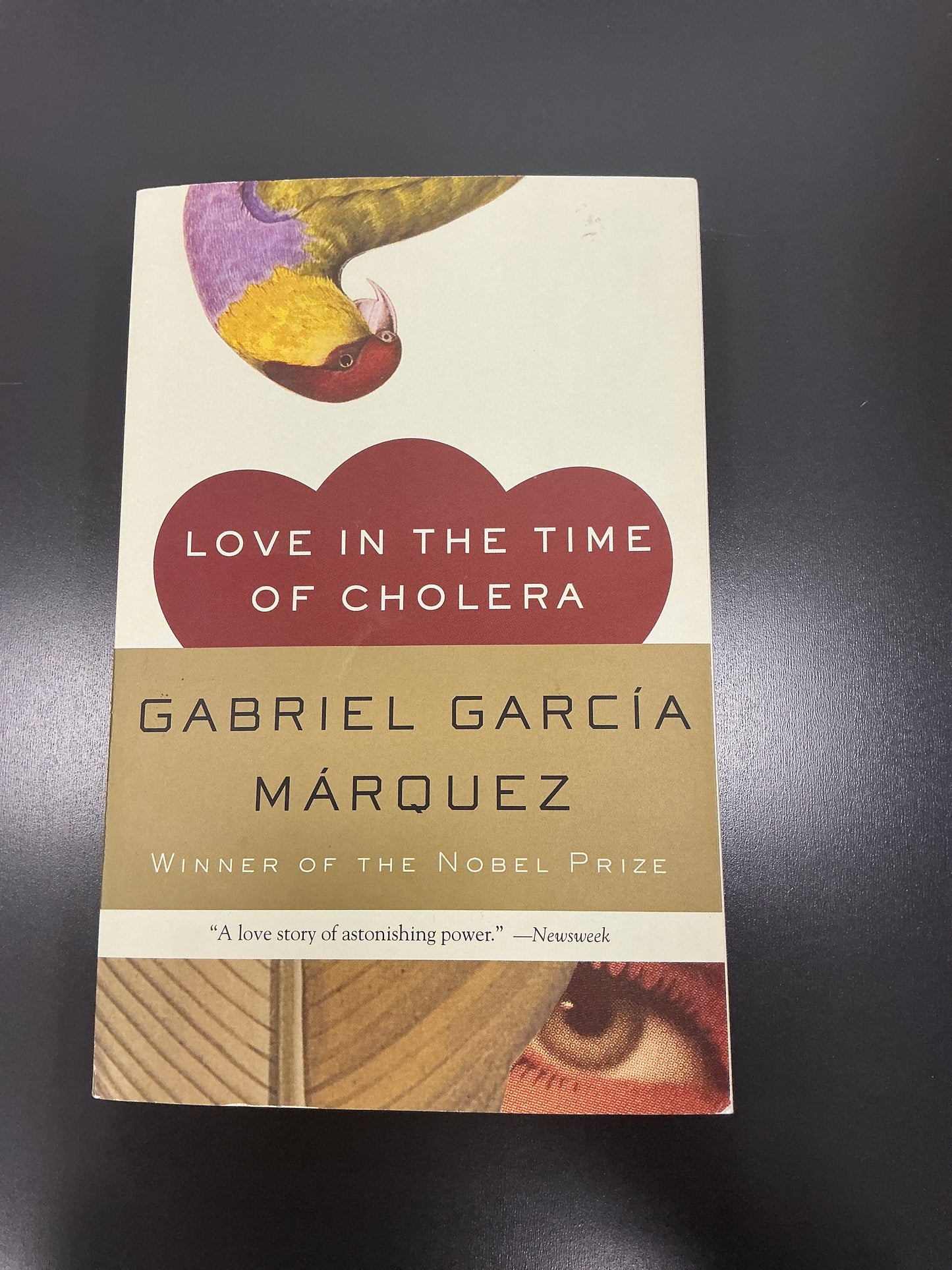 Misfits & Dreamers Books