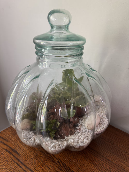 Extra Large Terrarium